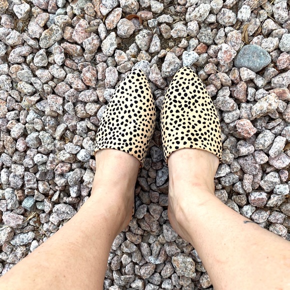 New! Tan Black Leopard Animal Print Flats Mules - Picture 7 of 9